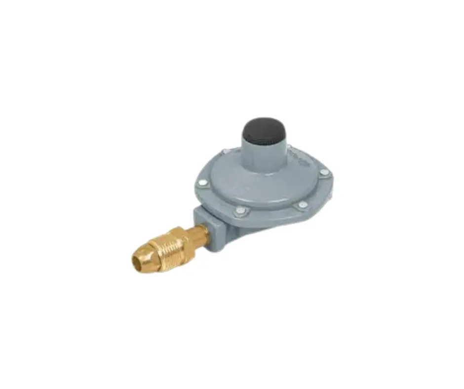 REGULADOR DE GAS LP SIN MANERAL 1 VIA AFER RECPAF