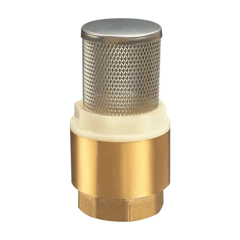 VÁLVULA DE PIE CON RESORTE 1" MALLA CNX VAPIR16