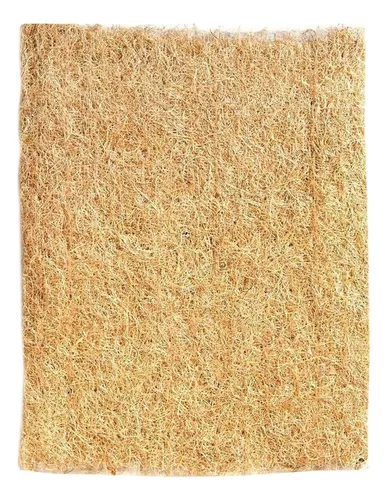 PAJA R45